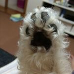 akemi  ohira - @akemiohira5758 - Instagram