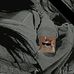Akemi Oshiro - Facebook