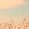 💖Akemi💖 - @akemiramirezramos - TikTok