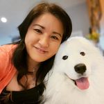 Akemi Segami - @akemisegami - Instagram