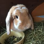 Akemi Takemoto - @akemi.takemoto.37 - Instagram