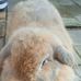 Akemi Takemoto - Facebook