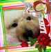 Akemi Takemoto - Facebook