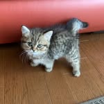 AKEMI TAKEUCHI - @akemi_0408_ - Instagram