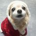 Akemi Takeuchi - Facebook