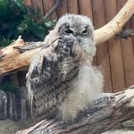 Akemi Takeuchi - @a.takechan - Instagram
