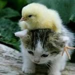 Akemi Takeuchi - @akemi.takeuchi516 - Instagram
