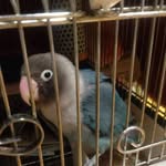 Akemi Takeuchi - @akemi.takeuchi.9277 - Instagram