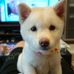 Akemi Takeuchi - Facebook