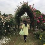 Akemi Yoshida - @ake_rin_hiji - Instagram