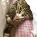 Akemi Yoshida - Facebook