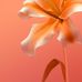 Akhil Vijayan - Facebook