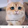 Akhlas saeed❤😈⛓ - @akhlassaeed0 - TikTok