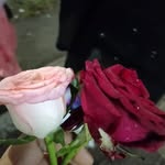 shahenaj akhtar baig - @akhtarbaig_177 - Instagram