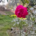 Akhtar Memon - @akhtarmemon.akhtarmemon.3 - Instagram