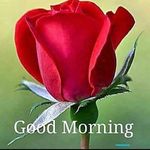 Akhtar Syed - @akhtar.syed.127 - Instagram