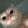 aki_tanaka03 - @aki_tanaka03 - TikTok