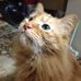 Akihiro Ando - Facebook