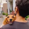 akihiroando668 - @akihiroando668 - TikTok