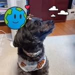 Akiko Oka - @oka2911 - Instagram