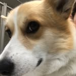 Akiko Yoshida - @akiko.yoshida.3114 - Instagram