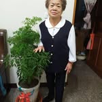 Akiko Yoshida - @akikoyoshida1135 - Instagram