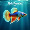 abdull - @abdullahakil81 - TikTok