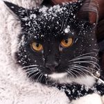Akil Mitchell - @akil_mitchell - Instagram