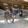 Akili Gray Jr. - @akili.gray.jr - TikTok