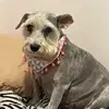 kira - @akirasamuelsson - TikTok