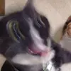 Akm Islam - @instagrakm - TikTok