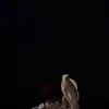 Akram Choukri - @akram.choukri - TikTok