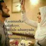 Akram Daoud - @daoud1272 - Instagram