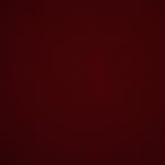 Akram Daoud - @akram.daoud.79 - Instagram
