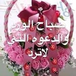 Akram Ibrahim - @akram5361 - Instagram