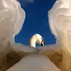 Akram_Mustafa - @Akram_Mustafa - TikTok
