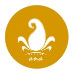 Akshay kaul - @ana_sarees.stoles.shawls - Instagram