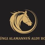 УРОЛОГИЯ | ПОТЕНЦИЯ | АЛМАТЫ - @alaman_ortalygy - Instagram