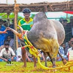 Alangai Gokul - @alangai_gokul - Instagram