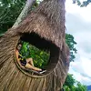 Almendra Arèvalo - @alarevaloo - TikTok