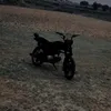all.___black - @all___.black - TikTok