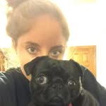 Alex Borrelli - @alborrelli1 - Instagram