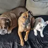Alfie Bunker - @alfie.bunker1 - TikTok