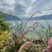 Alessia Cappelli - Facebook