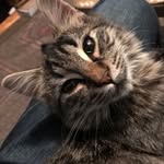 Al Conroy - @princess_miquette - Instagram