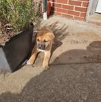 Alan Gump Coombs - Facebook