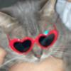 :) - @ali.cramer - TikTok