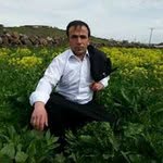 @mehmet_hadi_alcuz - Instagram