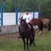 Alex Desiderio - Facebook