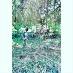 Al Dexter Abas May - @aldextermay - Instagram